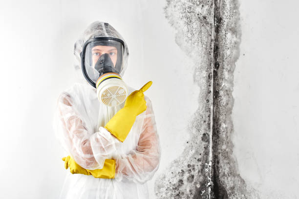 Best Comprehensive Air Testing for Mold Contaminants  in Lawson, MO