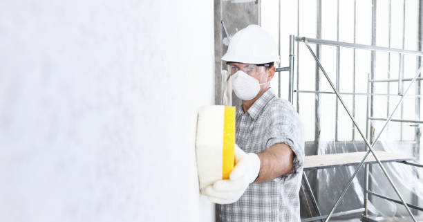 Why You Should Choose Our Mold Remediation Services in Lawson, MO