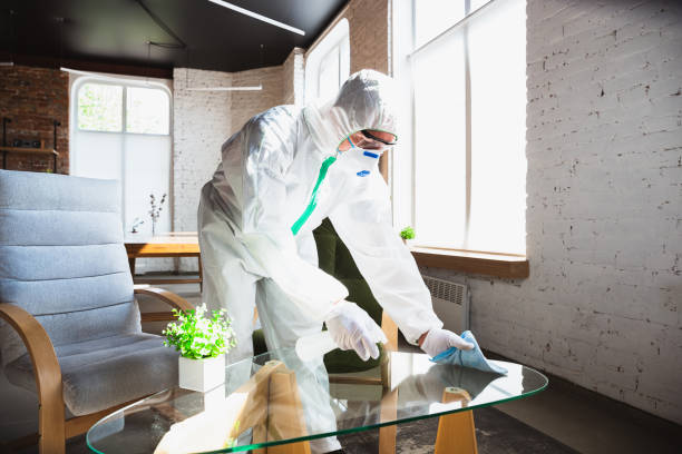 Reliable Lawson, MO Mold Removal Services Solutions