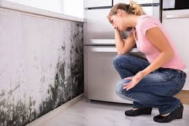 Best HVAC Mold Inspection and Cleaning  in Lawson, MO